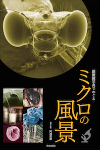 works image